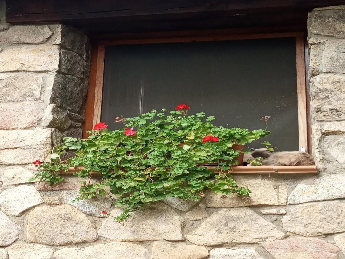 Naturaleza, Confort Y Vistas Inigualable En Casa Rural La Cumbre Gata Zewnętrze zdjęcie