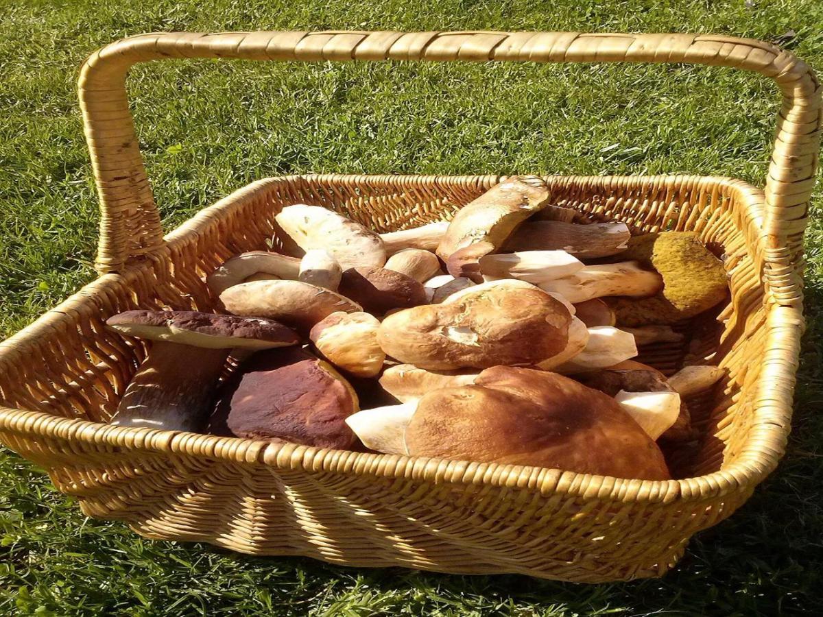 Naturaleza, Confort Y Vistas Inigualable En Casa Rural La Cumbre Gata Zewnętrze zdjęcie
