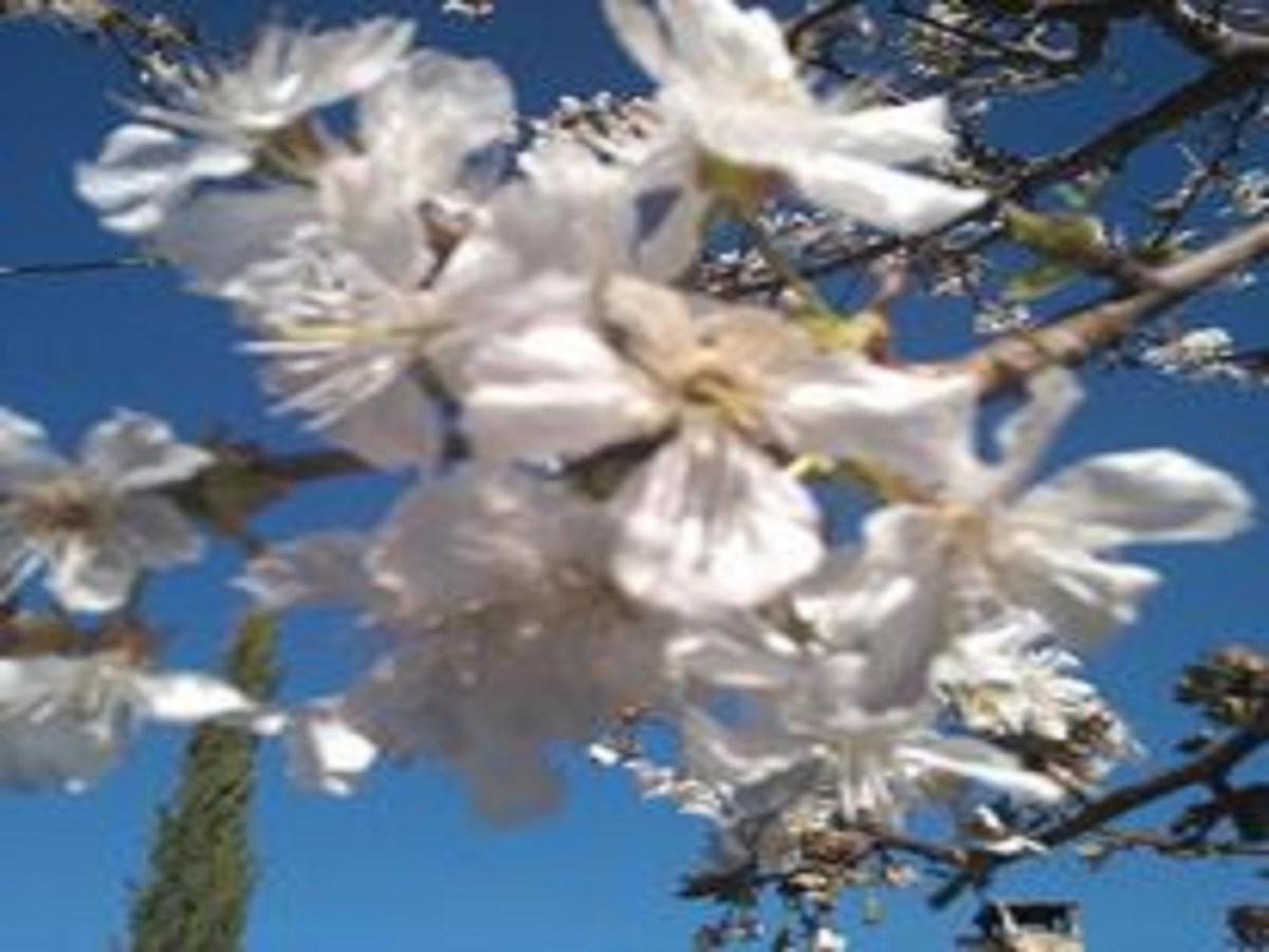 Naturaleza, Confort Y Vistas Inigualable En Casa Rural La Cumbre Gata Zewnętrze zdjęcie