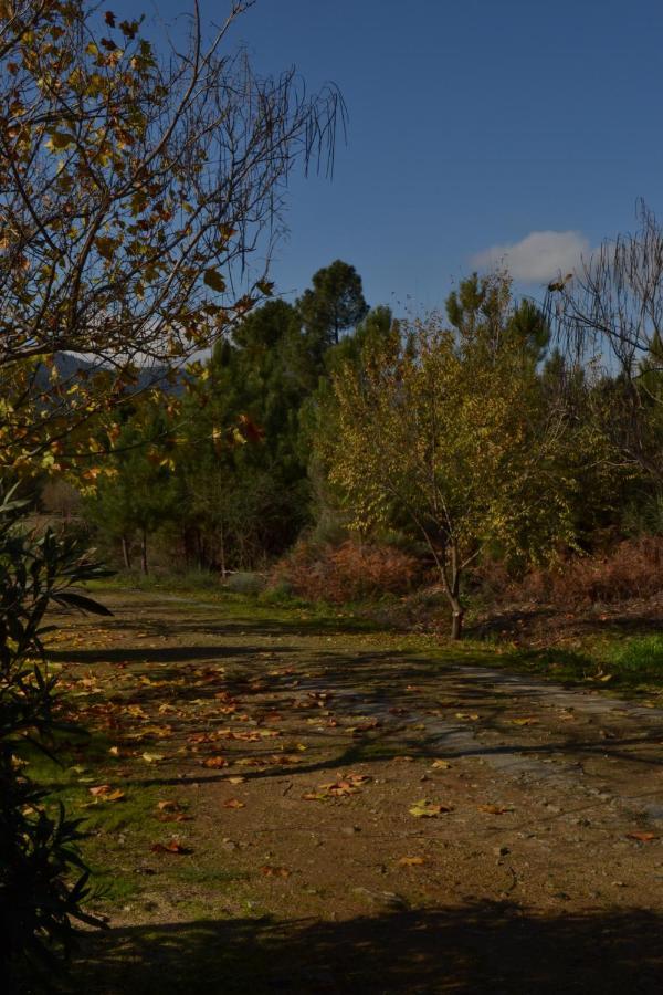 Naturaleza, Confort Y Vistas Inigualable En Casa Rural La Cumbre Gata Zewnętrze zdjęcie