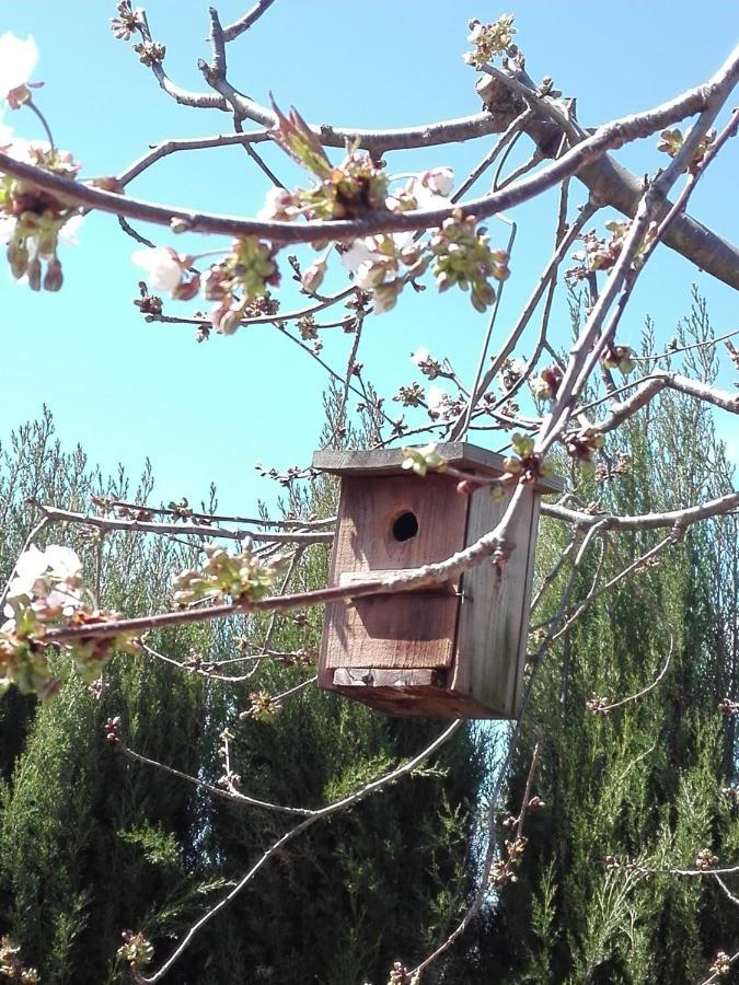 Naturaleza, Confort Y Vistas Inigualable En Casa Rural La Cumbre Gata Zewnętrze zdjęcie